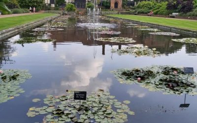 RHS Wisley