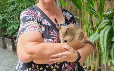 Siem Reap – Rats, Restoration & Relaxation